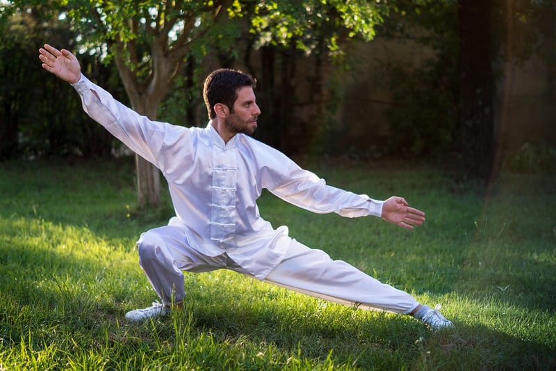 Tai Chi Exercise Meditation